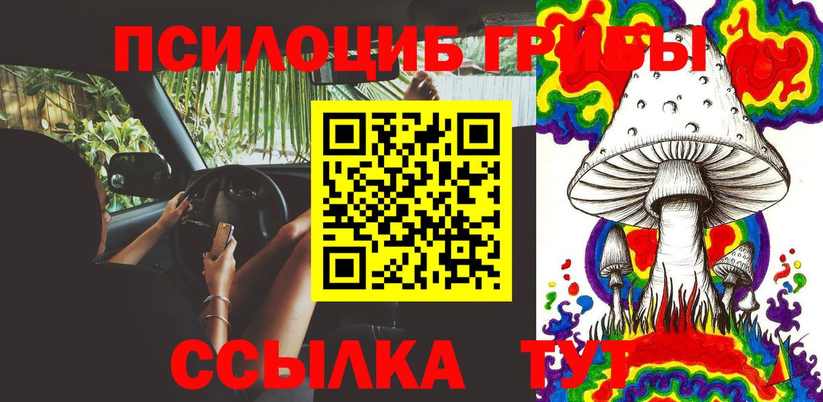 закладка  Вход с VPN  Елабуга  Галлюциногенные грибы Psilocybine cubensis 