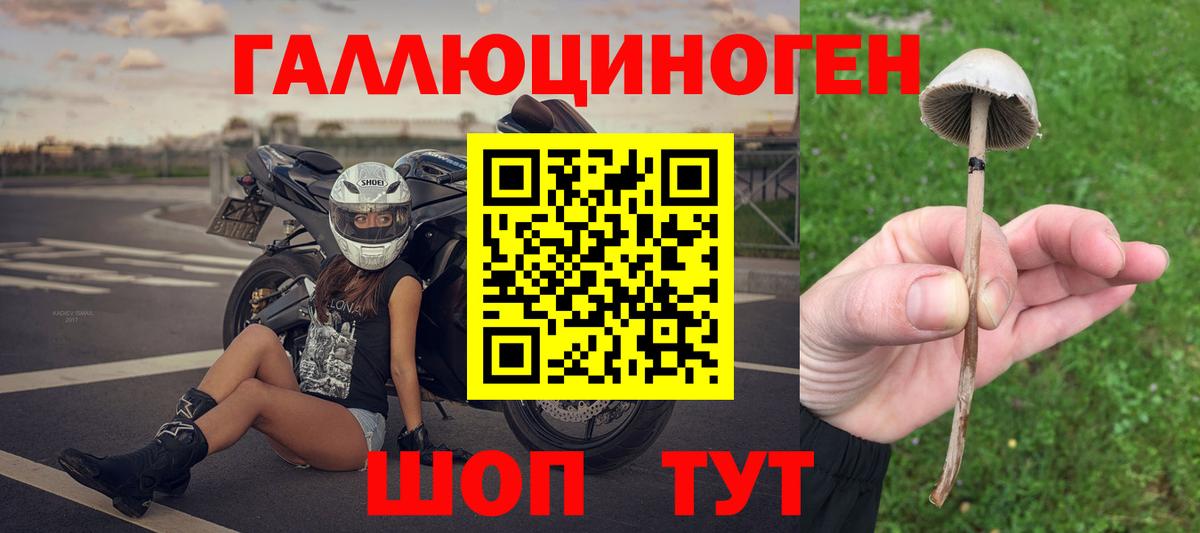 Псилоцибиновые грибы MAGIC MUSHROOMS Елабуга